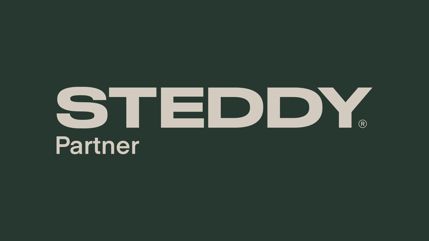 Steddy partner